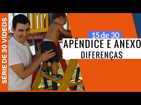 Vídeo: Qual é o objetivo dos apêndices?