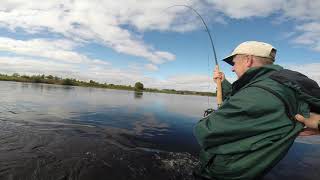 Salmon Fishing River Forth Aidan Mcguire