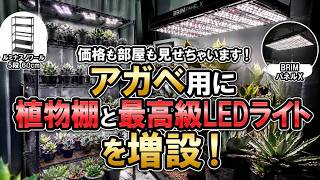 I'll show you the prices and my room! Adding a plant shelf and top