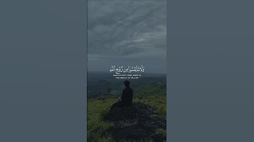 ولا تيأسوا من روح الله || القارئ محمود البنا || حالات واتس اب #قرآن