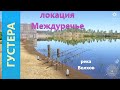 Русская рыбалка 4 - река Волхов - Густера у двух пеньков