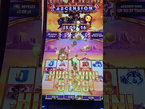 Cashire wild - casino codere
