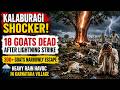 LIGHTNING STRIKE KILLS 18 GOATS IN HEBBAL VILLAGE OF KALAGI TALUK , KALABURAGI