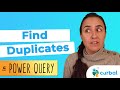 Find and tag duplicate values in power query
