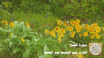 048 عبد الباسط عبد الصمد   سورة الفتح