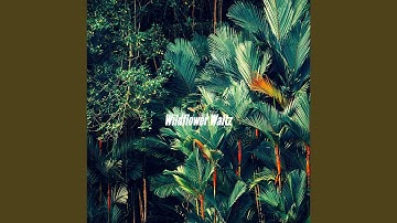 Sunny Double Citrus Espresso