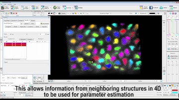 Adding clustering method into FluoRender for improved 4D tracking