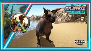 Why How To Tame the Procoptodon -Dude's Taming Ranch - Ark Survival Evolved