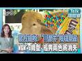 「孟加拉水牛」撞臉川普爆紅! 最後一刻官方驚險搶救 砸百萬換天然色素! M&M's「這兩色」暫時消失｜TALK國際線PODCAST @TVBSNEWS01