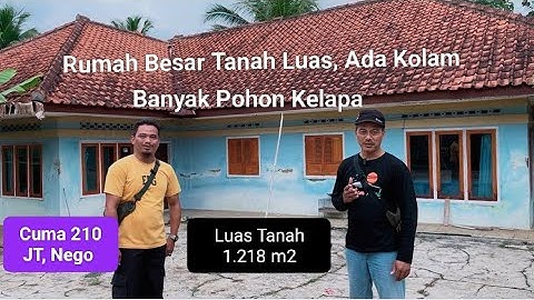 Rumah Besar Tanah Luas, Ada Kolam Banyak Pohon Kelapa, Cuma 210 JT, Nego Luas Tanah 1.218 m2