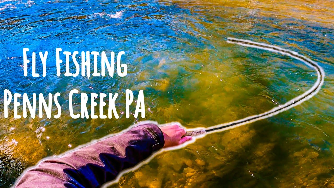 Fly Fishing Penns Creek PA - YouTube