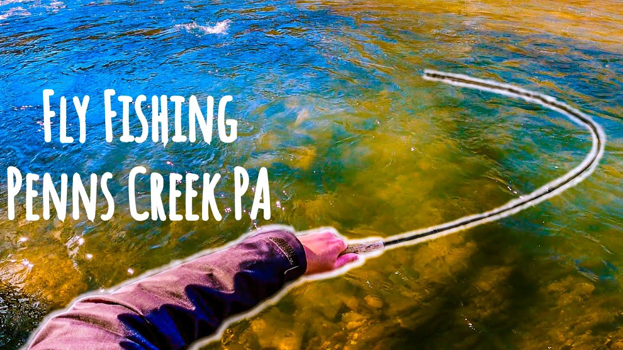 Fly Fishing Penns Creek PA YouTube