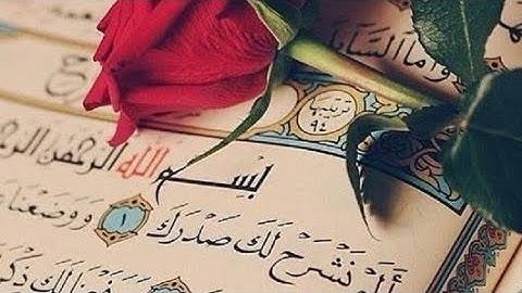 سورة الشرح - تلاوة خاشعة- القرآن الكريم #سورة_الشرح