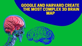 Google and Harvard Create the Most Complex 3D Brain Map