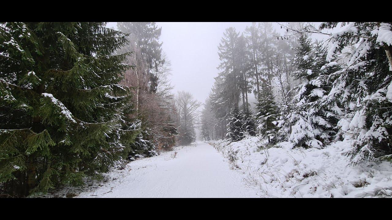 Deggendorf ❄️ Rusel 🛷 Greising ☃️ Tattenberg Runde 