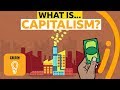 Understanding Capitalism: A Historical Perspective