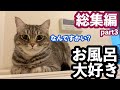 【総集編】お風呂についてくる風呂好き猫との暮らし!総集編part3