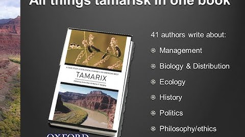 Anna Sher Weeds Native Plants After Tamarisk Removal