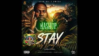 Dezine sean Rii Stay X Baby Mama  Gmyca cover Mashupdsm Productions  Panu Vibes