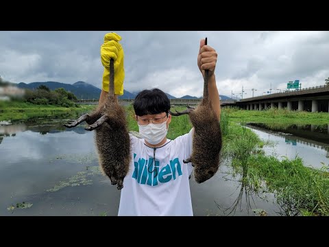 괴물쥐 <strong>뉴트리아</strong> 먹방 도전!!