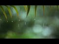 Relaxing Music & Rain Sounds Beautiful Piano Music, Background Music, Sleep Music