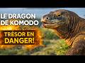 Le Dragon de Komodo : Le Prédateur au Venin Mortel qui ne Lâche JAMAIS sa Proie ! 🦎💀 #wildlife