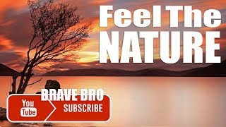 Feel The Nature - Brave Bro - Unrated