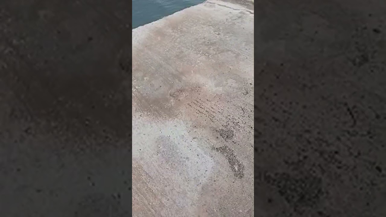 πάμε βόλτα για ψάρεμα καλημέρα