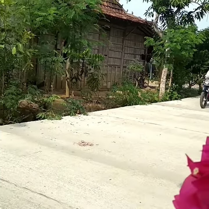 cewek pake cb yng pertama kalinya langsung gas