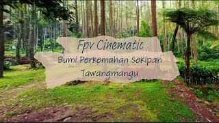 Bumi Perkemahan Sekipan Tawangmangu - Fpv Drone Cinematic Video - Intro