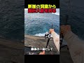 断崖絶壁で超巨大魚ゲット
