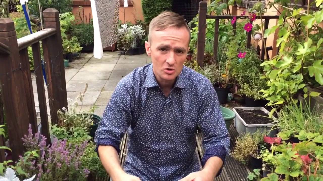 Bamboo garden cane hack