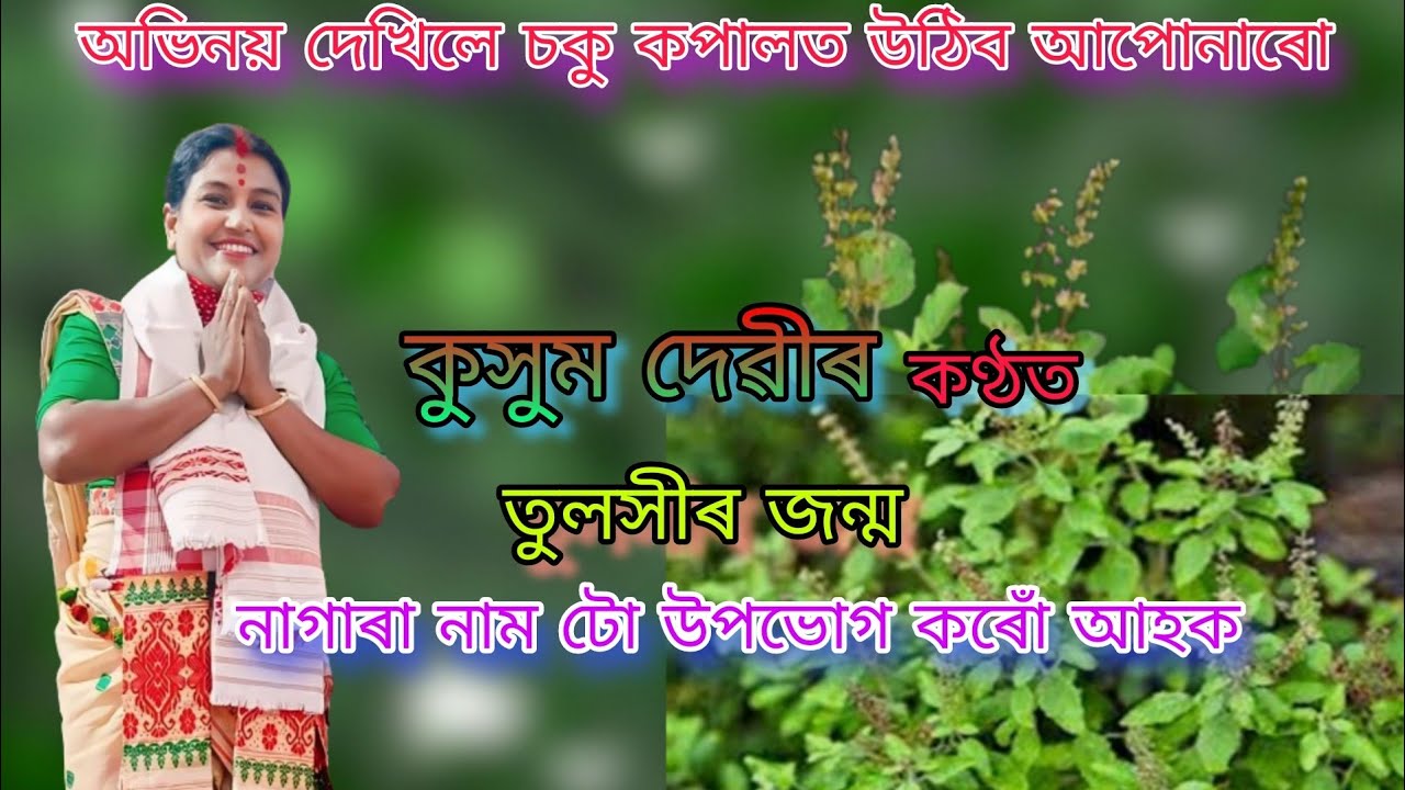 কুসুম দেৱীৰ কণ্ঠত তুলসীৰ জন্ম।। Kusum Devi Nagara Naam।।Pranab Entertainment