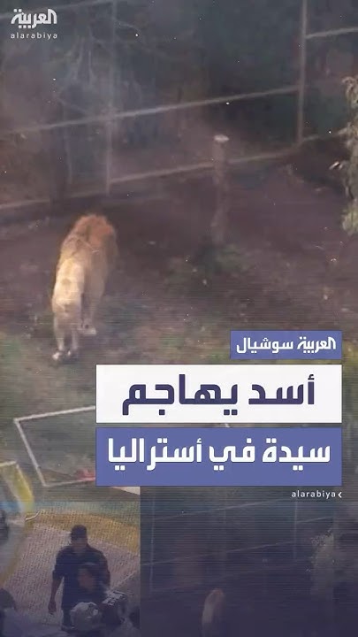   ..          
 - نشر قبل 12 دقيقة