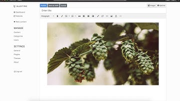 Bludit v3.x - How to upload and insert an image