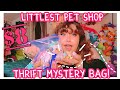 🧸 HUGE $8 Mystery Littlest Pet Shop Bag! 🧸| LPS Toy Review / Inner Child Therapy | 🎀