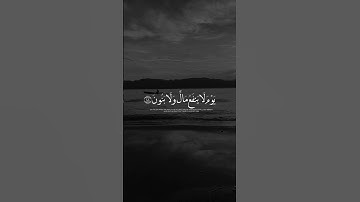 #محمد_هشام #تلاوة #آيات #القرآن_الكريم #quran #قرآن #قران_كريم #تلاوات #القرآن #تلاوة_خاشعة #ايات