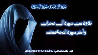 تلاوة من سورة آل عمران وآخر سورة الممتحنة||عمار محمود التابعي