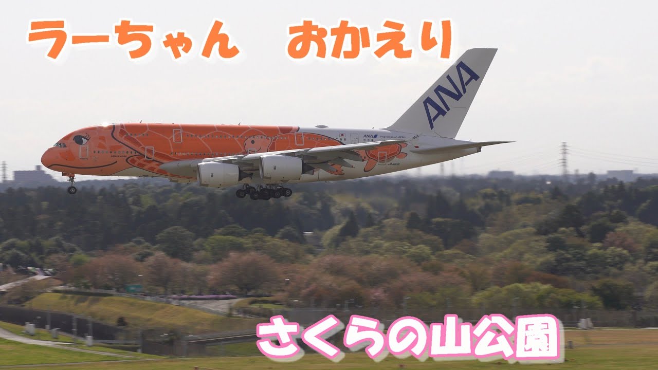 さくらの山公園とラーちゃんの眺め最高‼】 2025.04.15 4K撮影 NARITA
