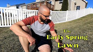Coming Out of Dormancy // My Early Spring Lawn + Soil Test Results by The Lawn Guardian 1,340 views 2 years ago 3 minutes, 58 seconds