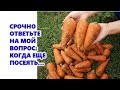 Срочно ответьте на мой вопрос: когда еще посеять...?