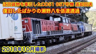 【JR貨物 EF200-2号機+DD51 857号機(無動力回送)+コキ21B 貨物列車2072レ 2018.10】