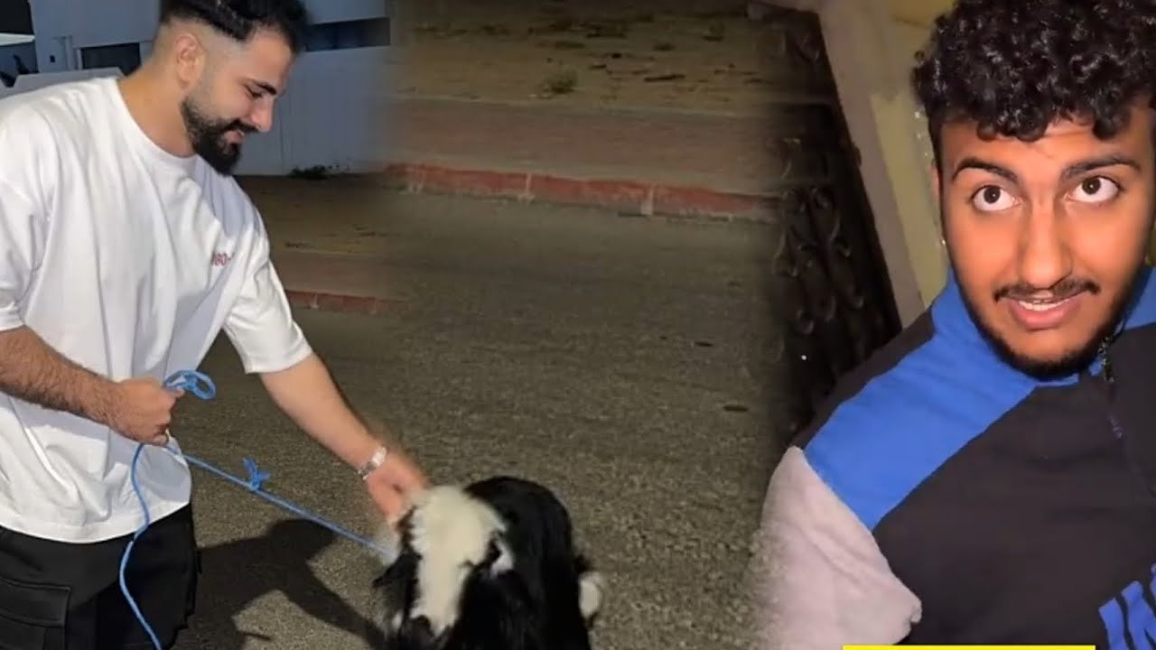 مقلب الخرفنه بحداد ، اخذنا الخروف والحين المرحله الثانيه 🤣 part 6