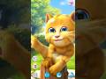 Talking Ginger Cat #shorts #talkingtom