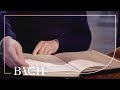 Van Veldhoven on Bach St Matthew Passion BWV 244 (Manuscript) | Netherlands Bach Society