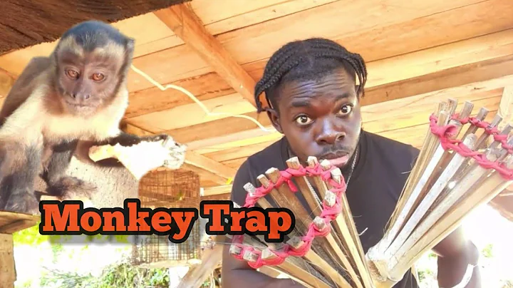 Monkey Trap  (Beze Hunting)