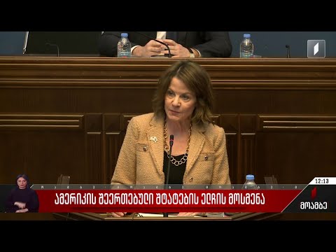 აშშ-ის ელჩის მოსმენა პარლამენტში