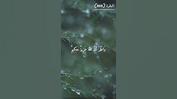 استمعوا مع القارئ يعود شريم راحة نفسية