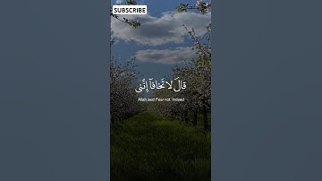 قال لا تخافا إنني معكما أسمع وأرى | سورة طه الآية 46 . محمد ديبيروف