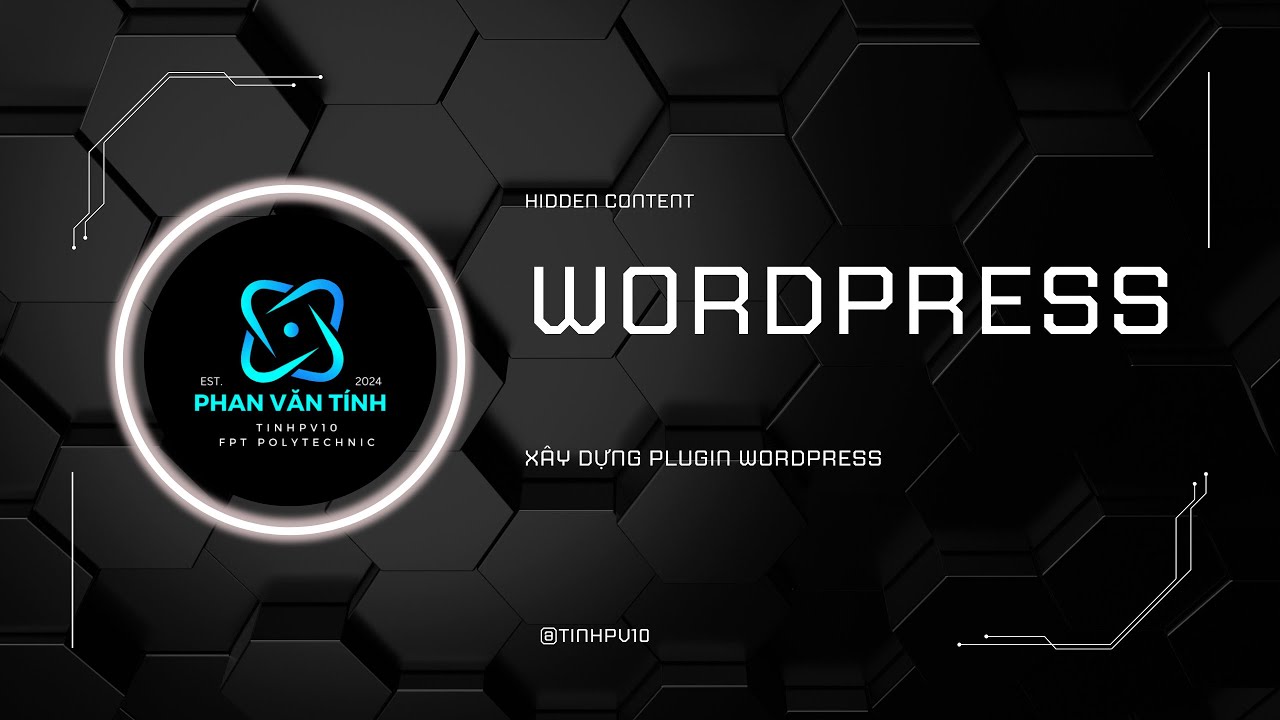 WordPress 1 H ng D n X y D ng Plugin Custom Content C i t wordpress 1 h ng d n x y d ng plugin custom content c i t